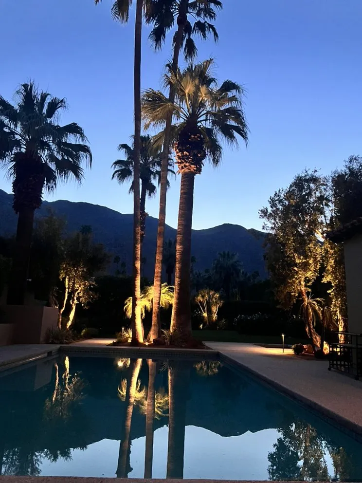 Trusted yard maintenance experts serving Cathedral City, CA - Desert Image Landscapes