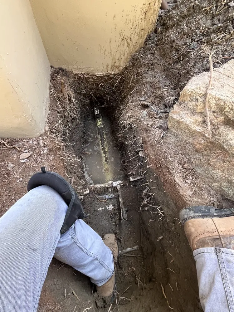 Affordable landscaping services for outdoor upgrades across Cathedral City, CA - Desert Image Landscapes