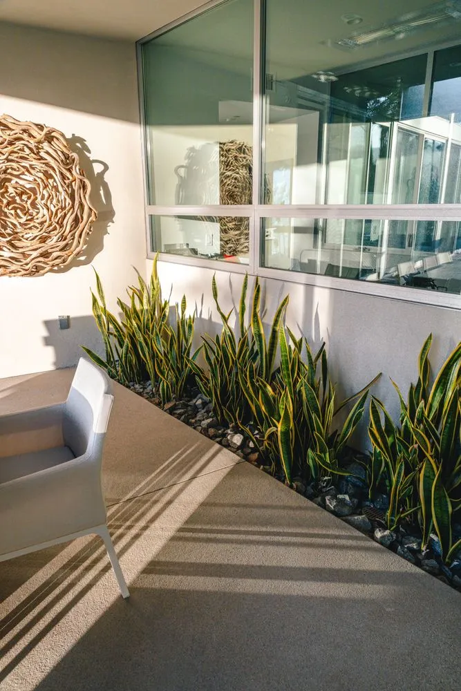 Reliable garden landscaping in Indio, CA - Desert Innovations Landscape