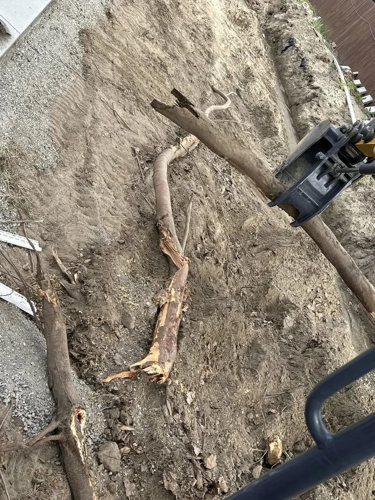 Professional landscape installation in Pasco, WA - Desert Jewel