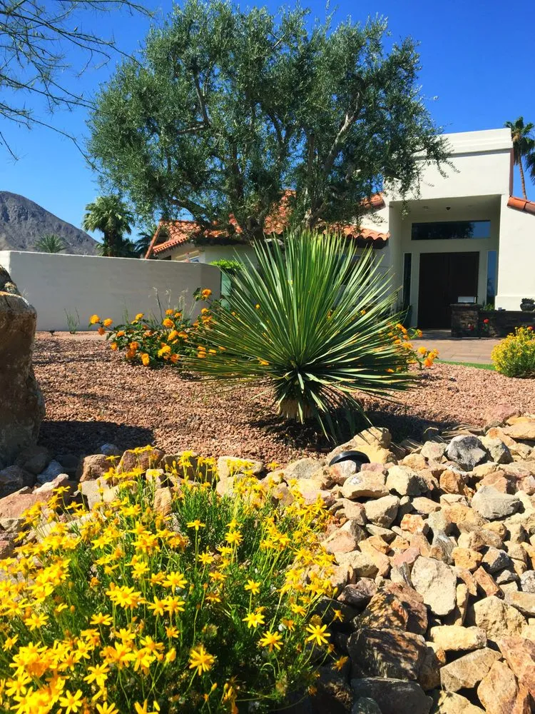Expert yard maintenance experts serving La Quinta, CA - Desert Landscape Associates