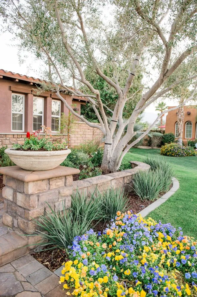 Top-rated landscaping services for beautiful yards across La Quinta, CA - Desert Landscape Associates