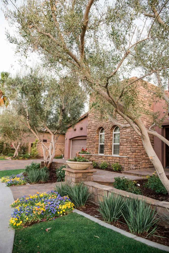 Top-rated yard cleanup service for beautiful yards across La Quinta, CA - Desert Landscape Associates