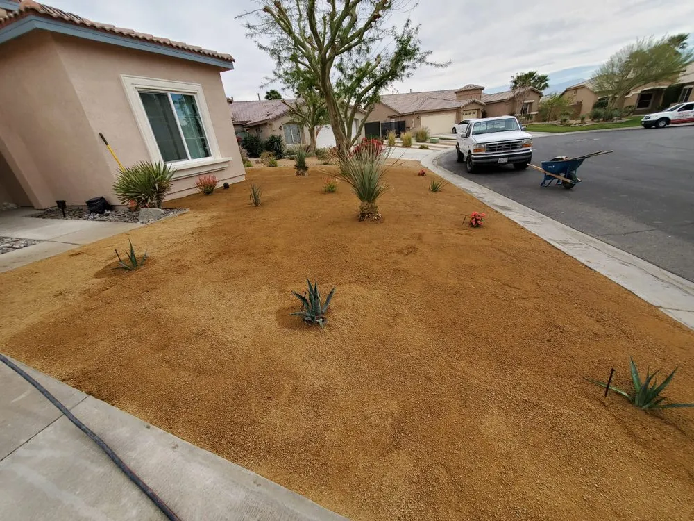 Top-rated landscape installation experts serving Indio, CA - Desert Landscape Line