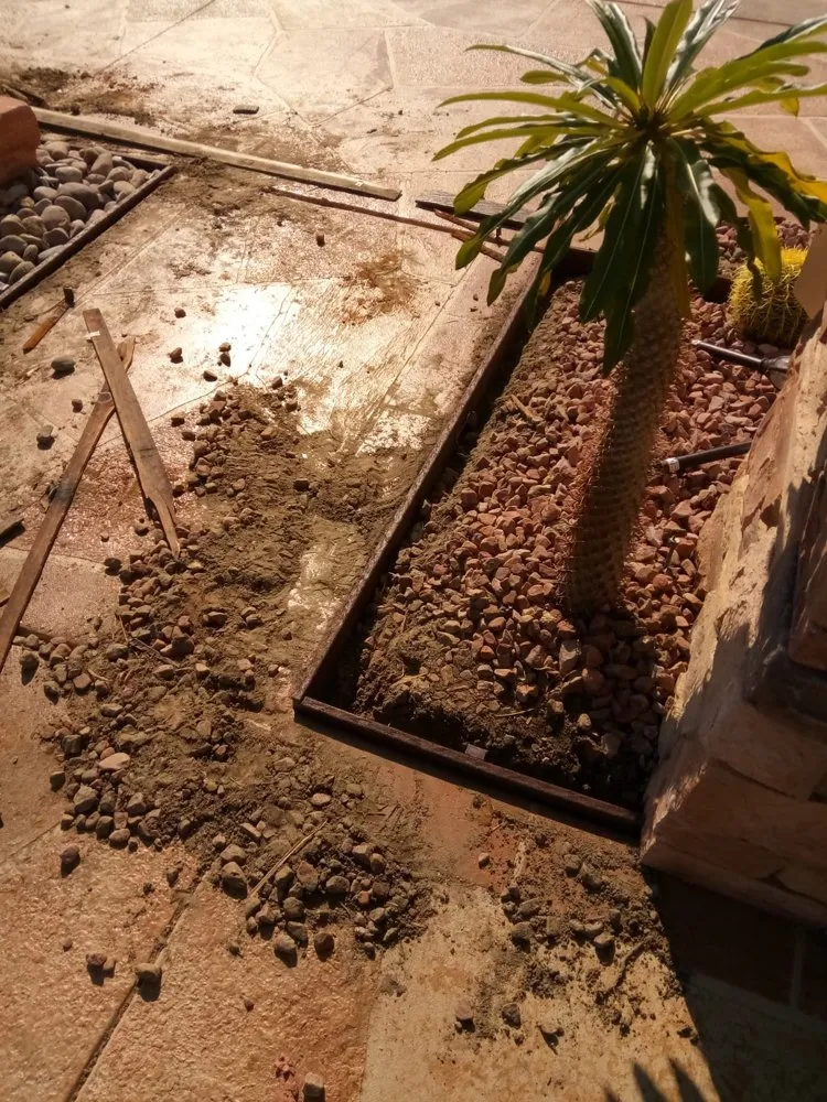 Local landscape design for outdoor upgrades across Indio, CA - Desert Landscape Line