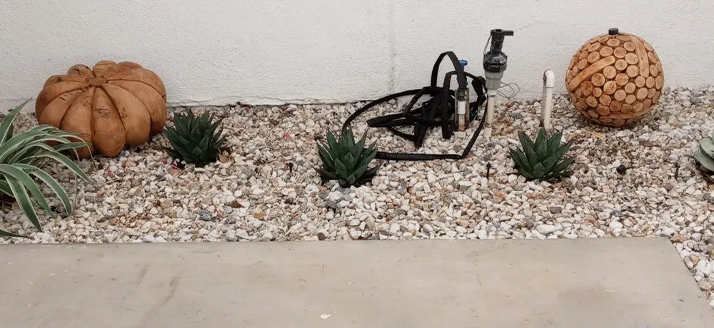 Affordable landscaping services for beautiful yards across Indio, CA - Desert Landscape Line