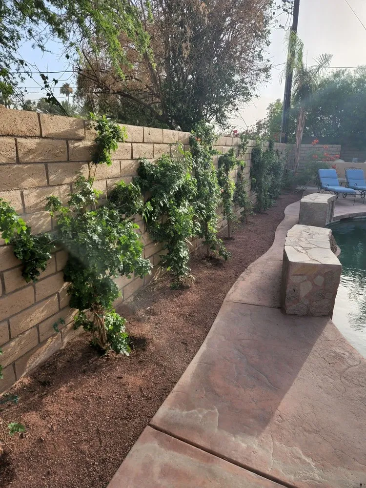 Top-rated landscape installation in Indio, CA - Desert Landscape Line
