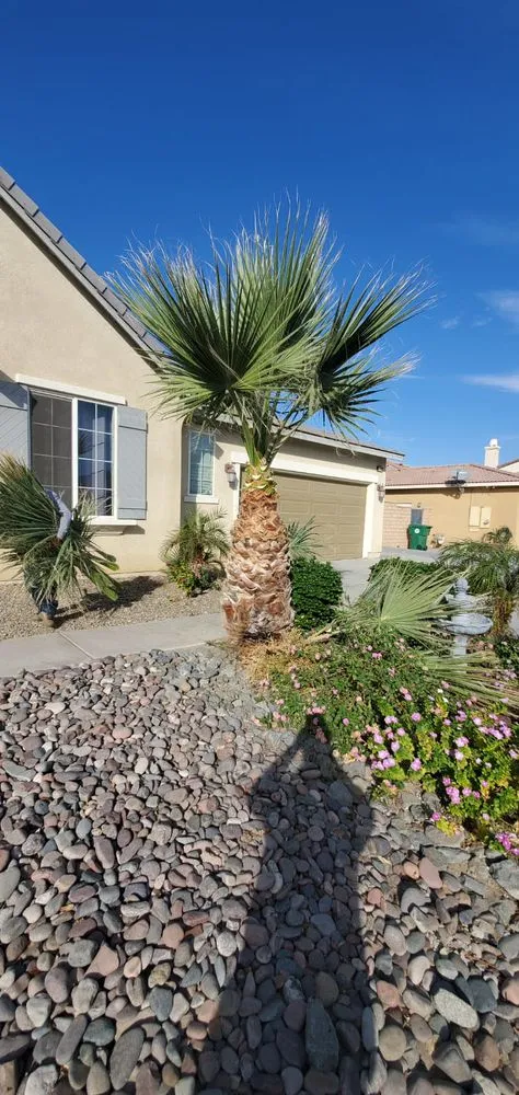 Local garden landscaping in Indio, CA - Desert Landscape Line