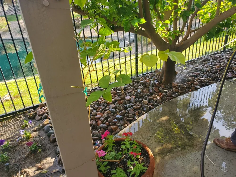 Custom landscape design for homes in Indio, CA by Desert Landscape Line