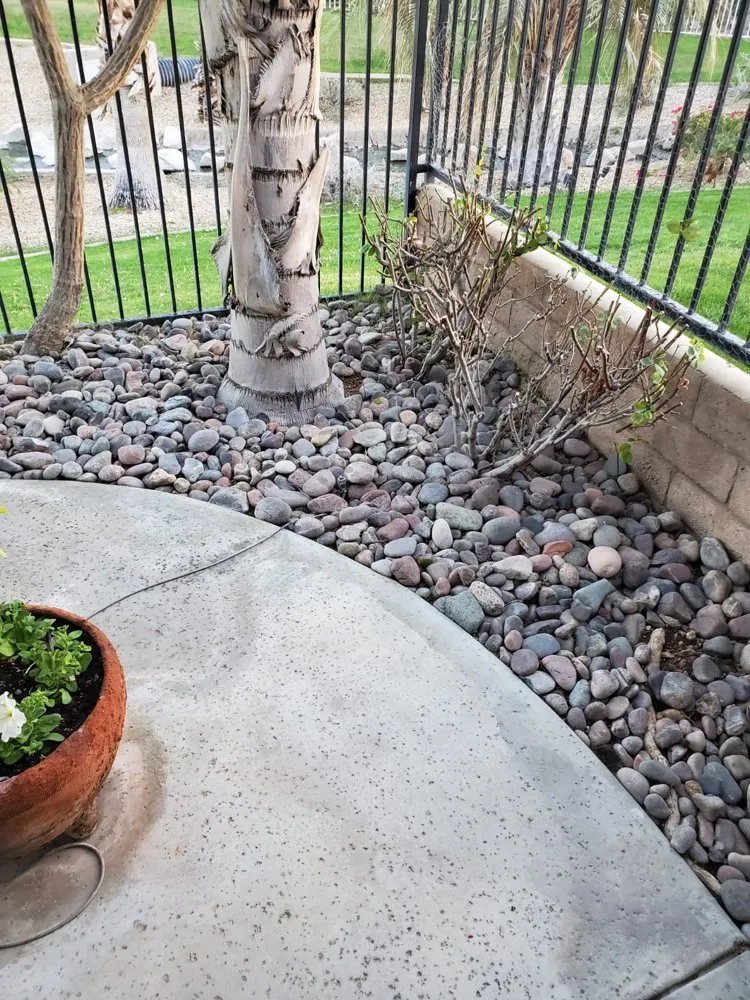 Affordable yard cleanup service in Indio, CA by Desert Landscape Line