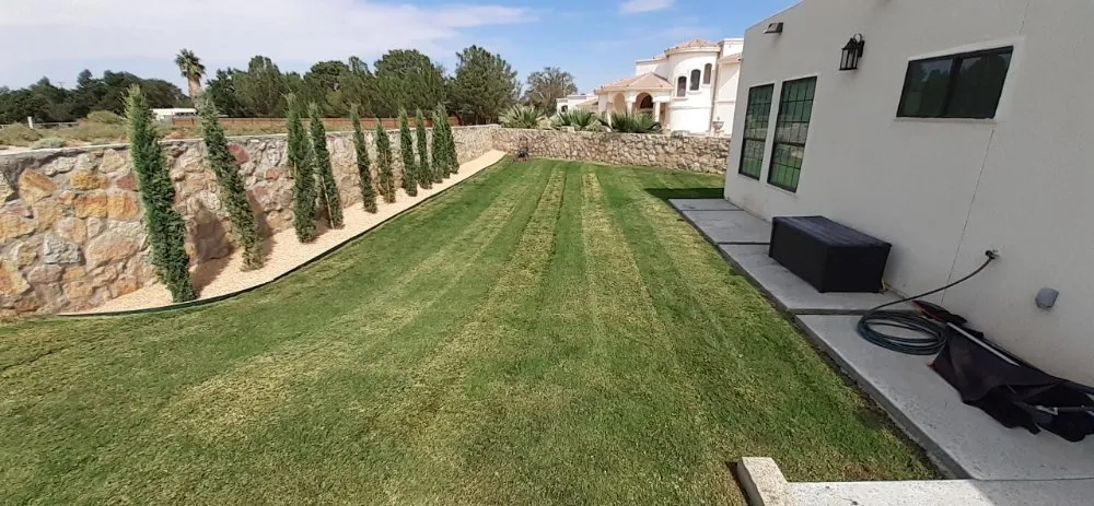 Reliable yard maintenance for beautiful yards in Anthony, NM by Desert Lawn Care