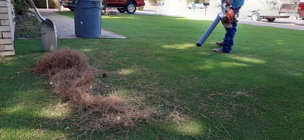 Affordable landscape design in Anthony, NM - Desert Lawn Care