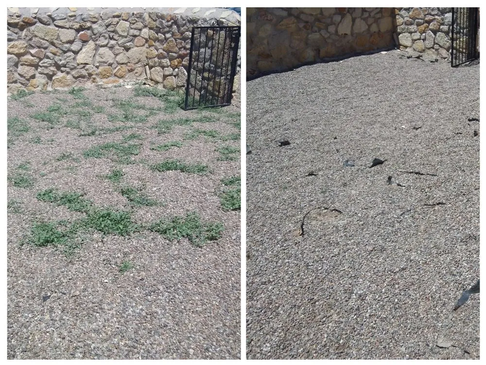 Trusted lawn care service near you across Anthony, NM - Desert Lawn Care