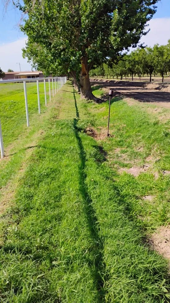 Affordable outdoor landscaping in Anthony, NM by Desert Lawn Care