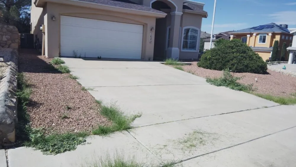 Custom yard cleanup service in Anthony, NM - Desert Lawn Care