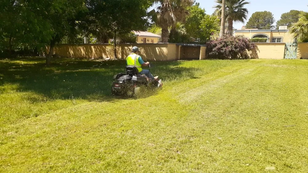 Custom yard maintenance for residential properties in Anthony, NM by Desert Lawn Care