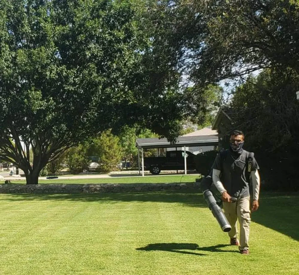 Custom yard maintenance in Anthony, NM by Desert Lawn Care