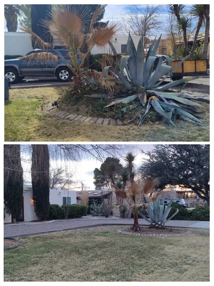 Trusted residential landscaping in Anthony, NM - Desert Lawn Care