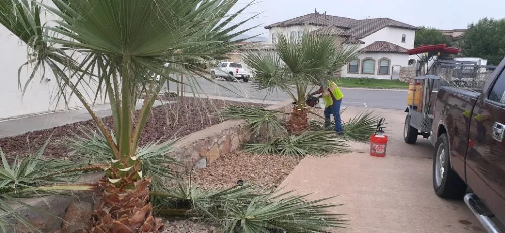 Custom residential landscaping for beautiful yards in Anthony, NM by Desert Lawn Care