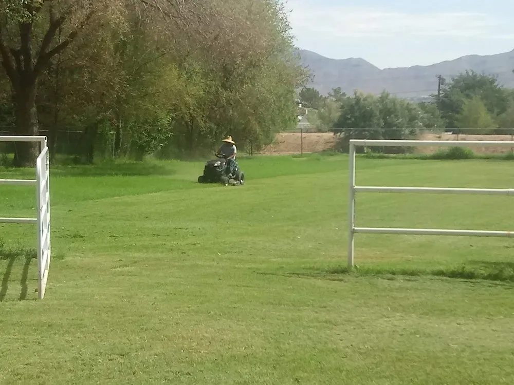 Custom landscape installation in Anthony, NM - Desert Lawn Care