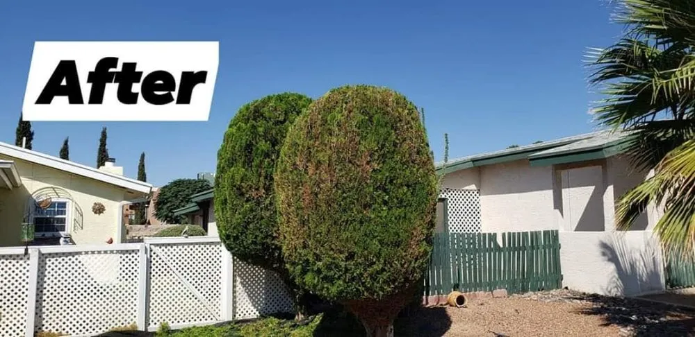 Trusted lawn care service in Anthony, NM - Desert Lawn Care