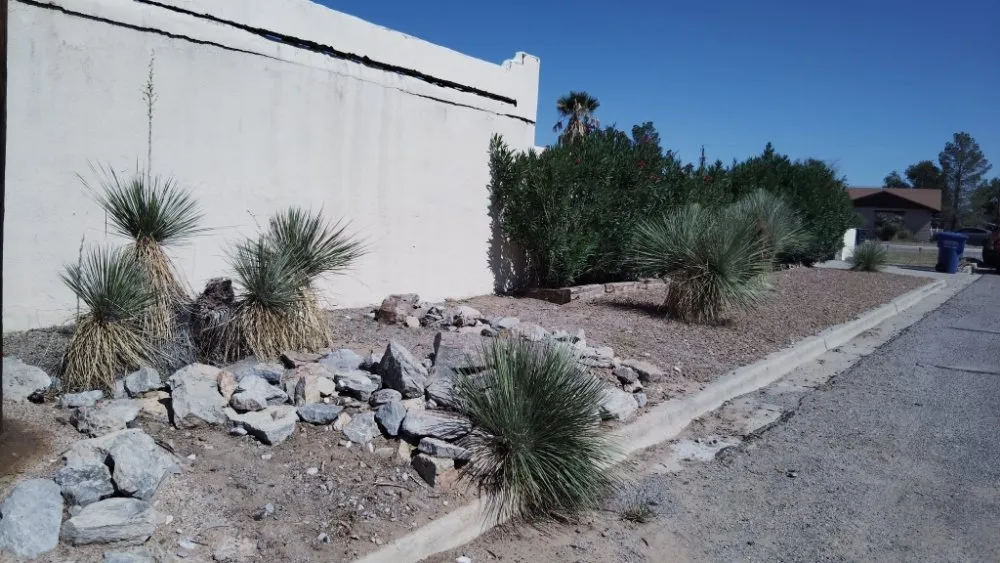 Professional yard maintenance near you in Anthony, NM by Desert Lawn Care