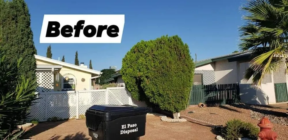 Custom lawn care service in Anthony, NM by Desert Lawn Care