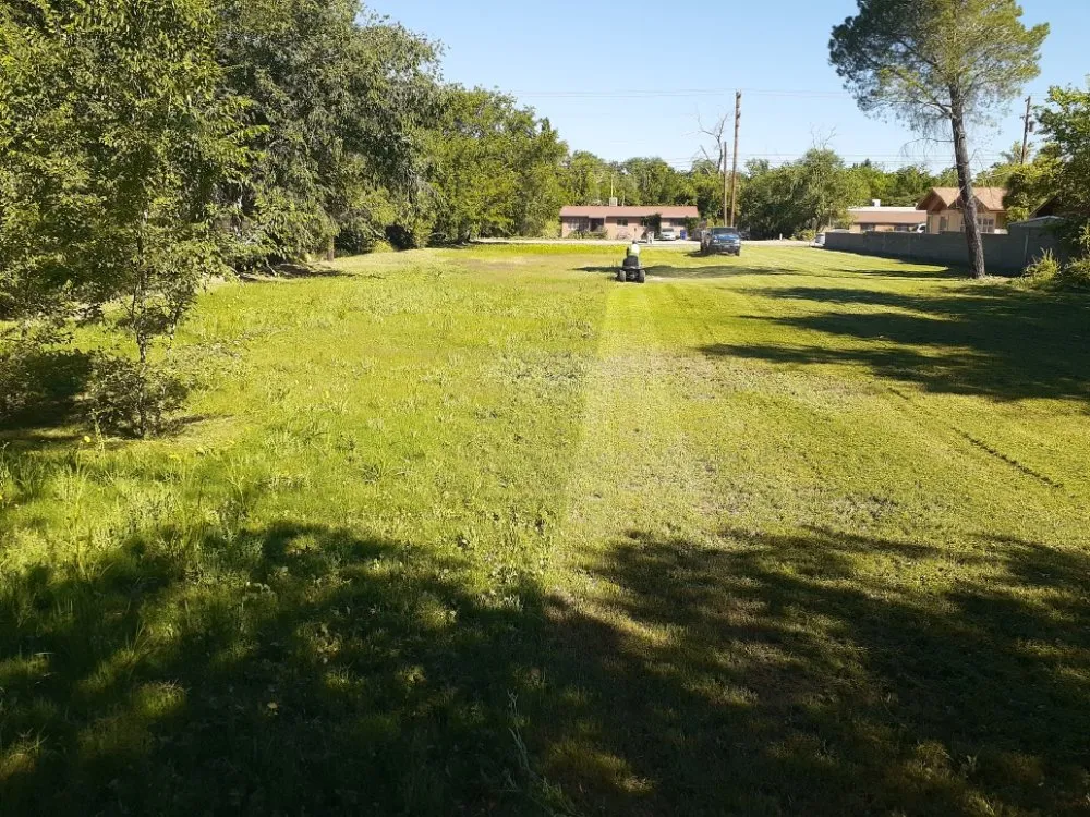 Custom lawn care service in Anthony, NM by Desert Lawn Care