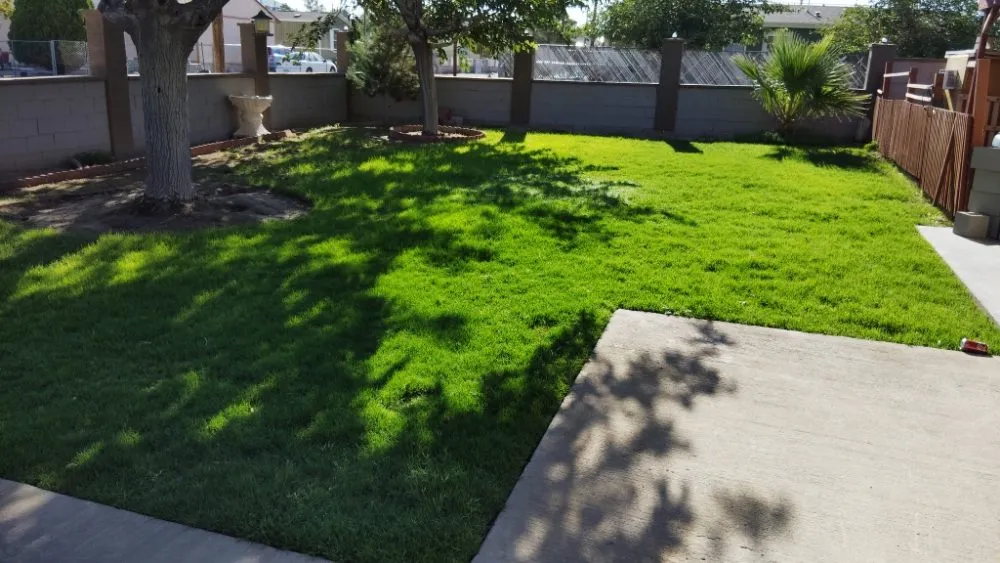 Expert outdoor landscaping experts serving Anthony, NM - Desert Lawn Care