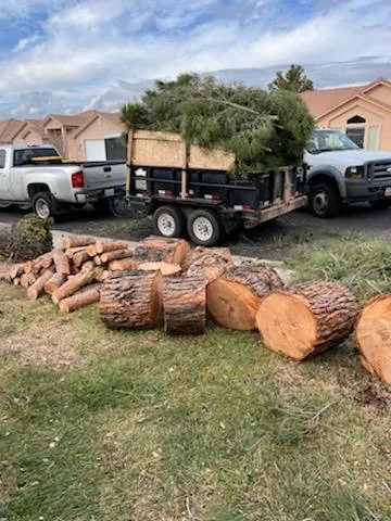 Affordable lawn care service experts serving St. George, UT - Desert Lawn Solutions