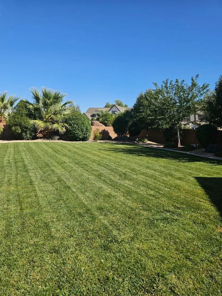 Affordable lawn care service in St. George, UT - Desert Lawn Solutions