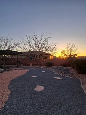 Desert Lawn Solutions Logo