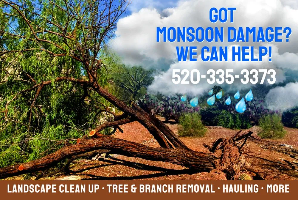 Top-rated garden landscaping in Tucson, AZ by Desert Nurture