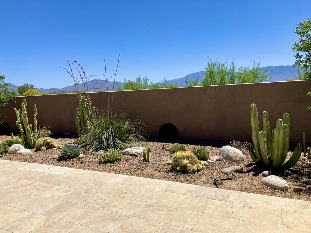 Reliable yard cleanup service experts serving Tucson, AZ - Desert Nurture