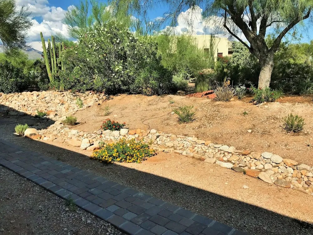 Affordable yard cleanup service for beautiful yards across Tucson, AZ - Desert Nurture