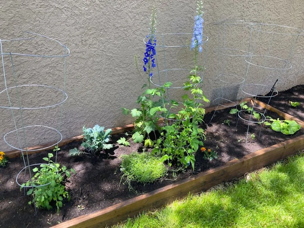 Professional outdoor landscaping experts serving Tucson, AZ - Desert Nurture