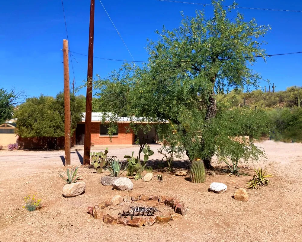 Reliable landscaping services in Tucson, AZ - Desert Nurture