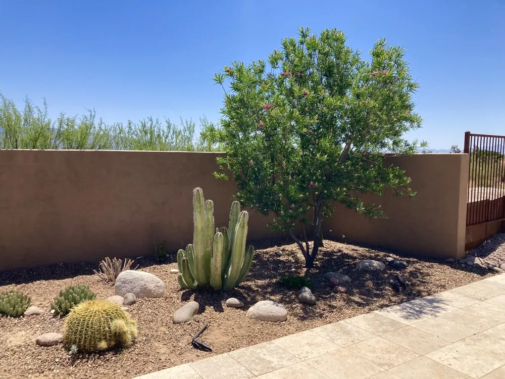 Trusted landscape design in Tucson, AZ by Desert Nurture