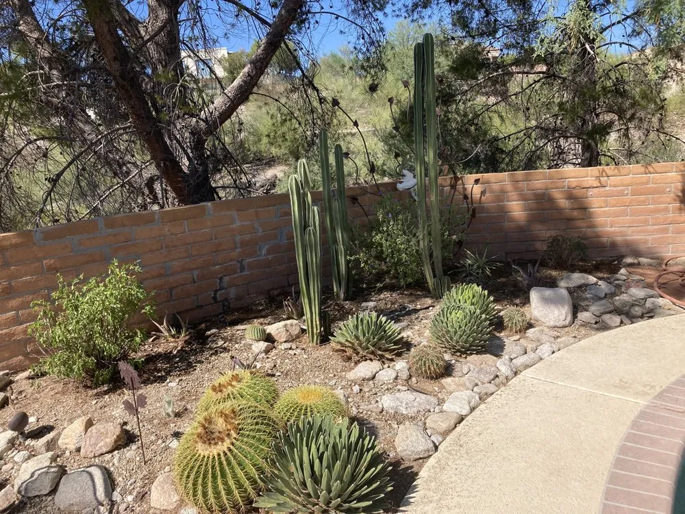 Reliable landscape design with custom design across Tucson, AZ - Desert Nurture
