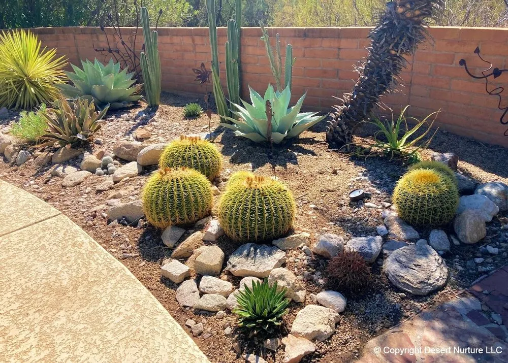 Affordable garden landscaping in Tucson, AZ - Desert Nurture