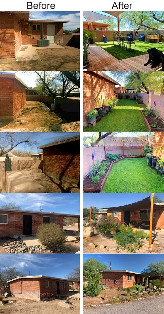 Reliable lawn mowing service experts serving Tucson, AZ - Desert Nurture