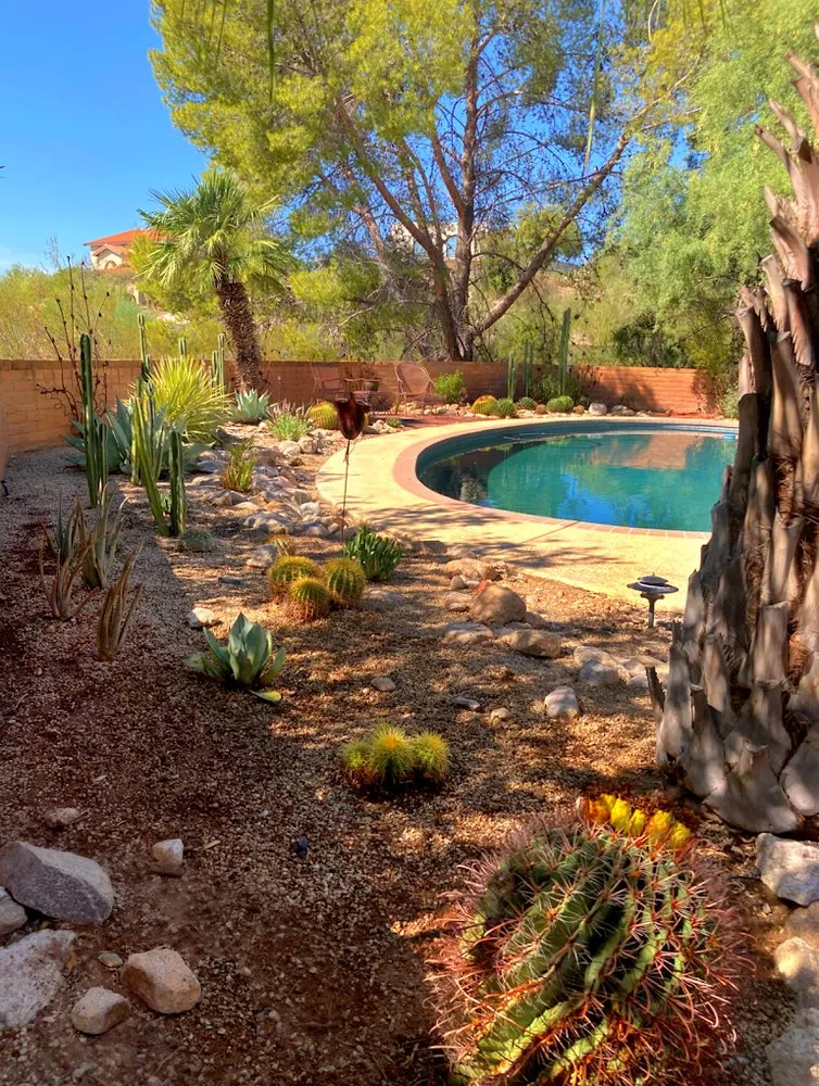 Affordable garden landscaping with custom design across Tucson, AZ - Desert Nurture