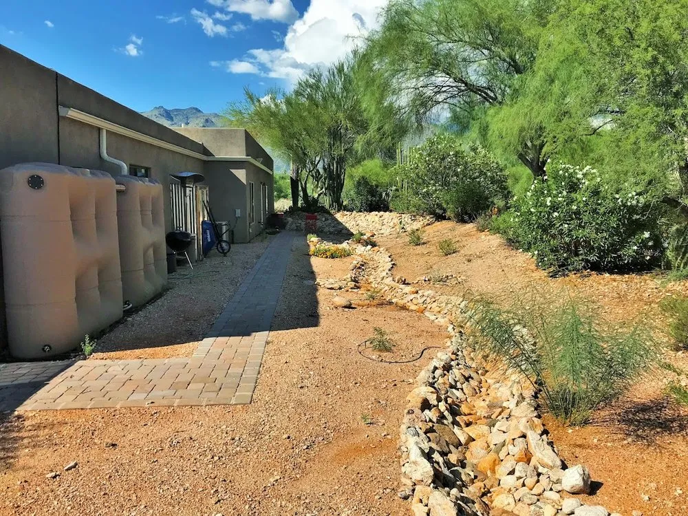 Affordable lawn care service in Tucson, AZ - Desert Nurture