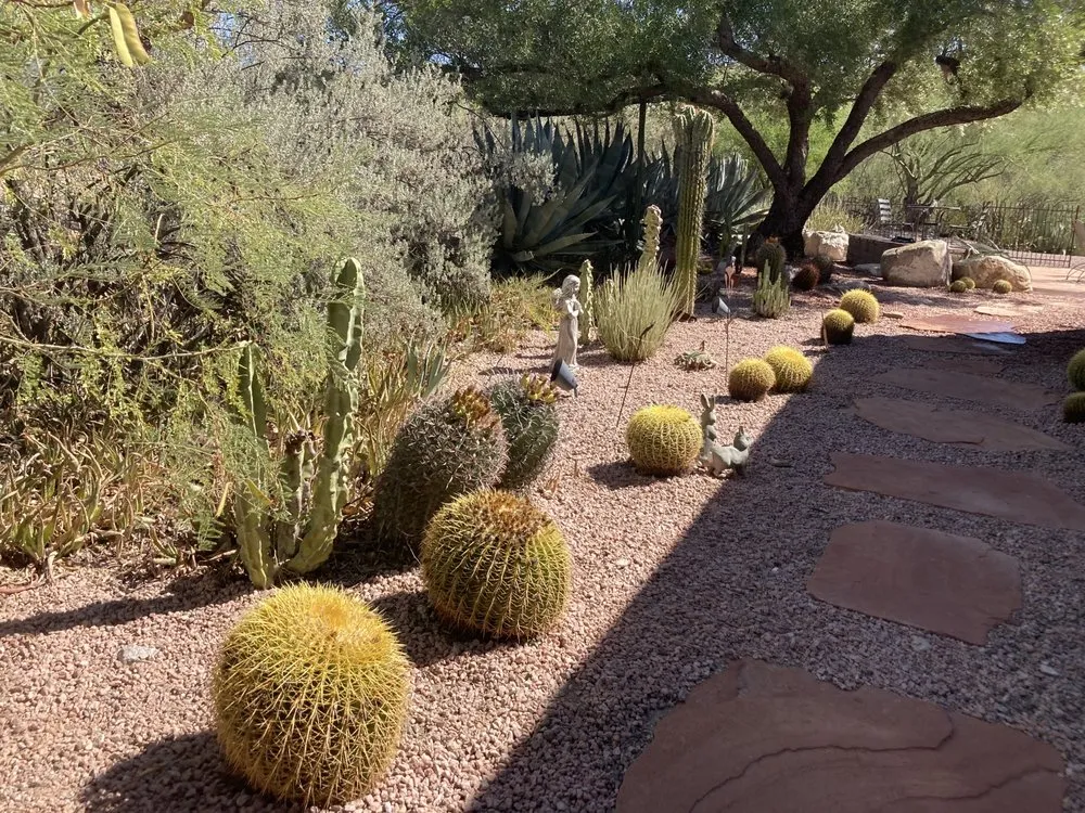 Affordable lawn mowing service for homes across Tucson, AZ - Desert Nurture
