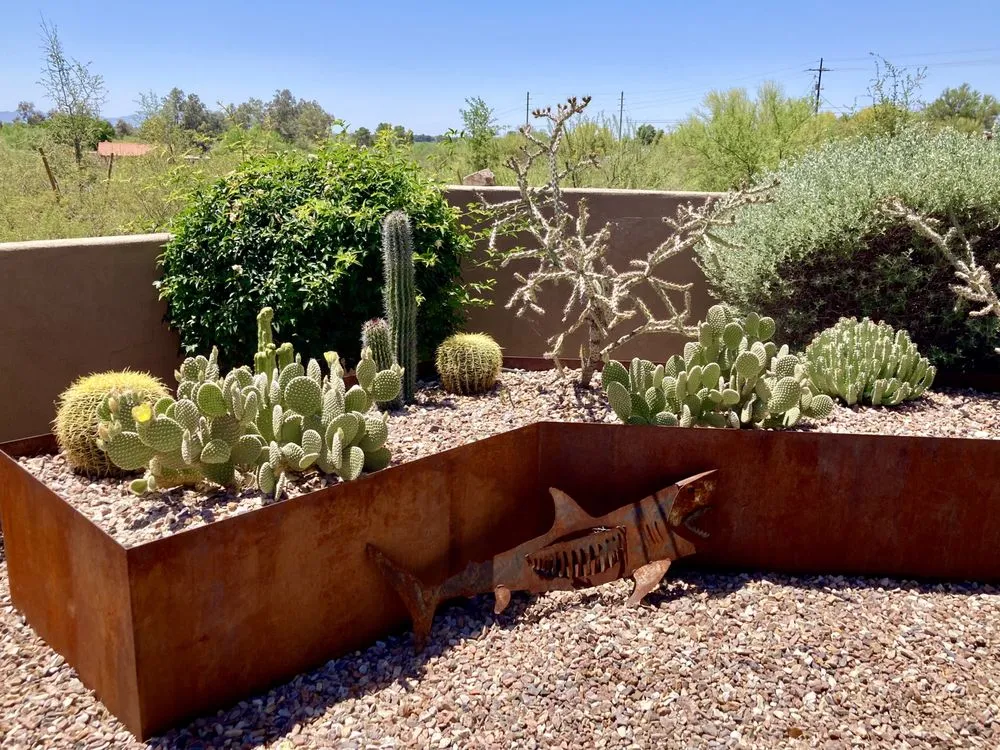 Trusted outdoor landscaping experts serving Tucson, AZ - Desert Nurture