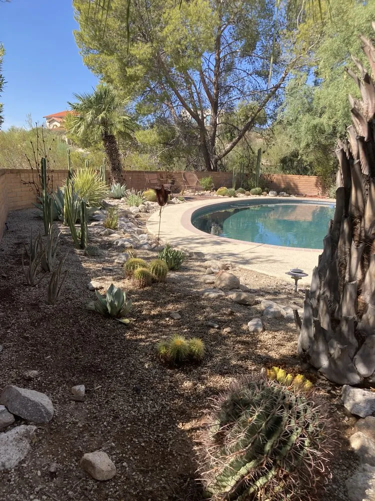 Professional landscape design in Tucson, AZ by Desert Nurture