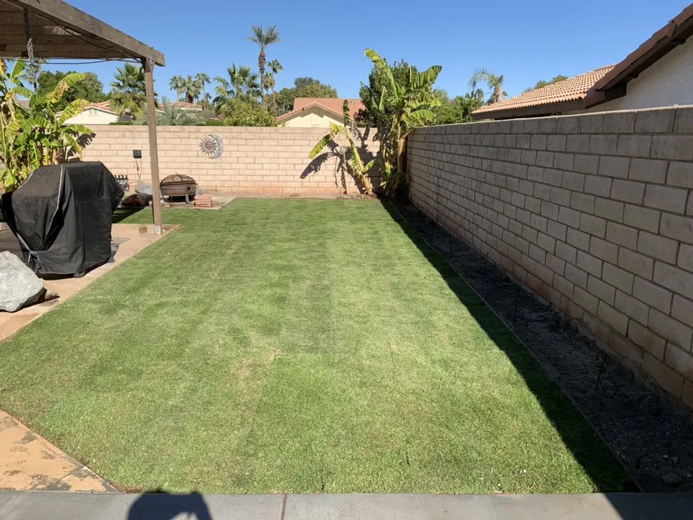 Expert lawn mowing service in Indio, CA by Desert Oasis Landscaping & Maintenance