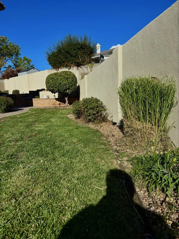 Trusted garden landscaping near you in Albuquerque, NM by Desert Oasis Landscaping