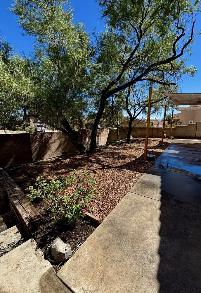 Custom yard maintenance in Albuquerque, NM - Desert Oasis Landscaping