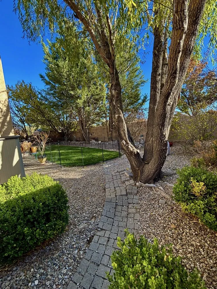 Professional lawn care service experts serving Albuquerque, NM - Desert Oasis Landscaping